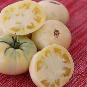 Tomates blanches
