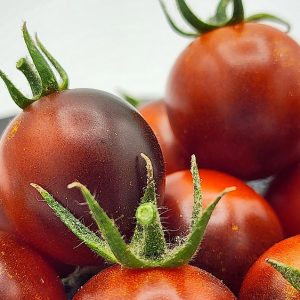 DANCING WHITE SMURFgraines