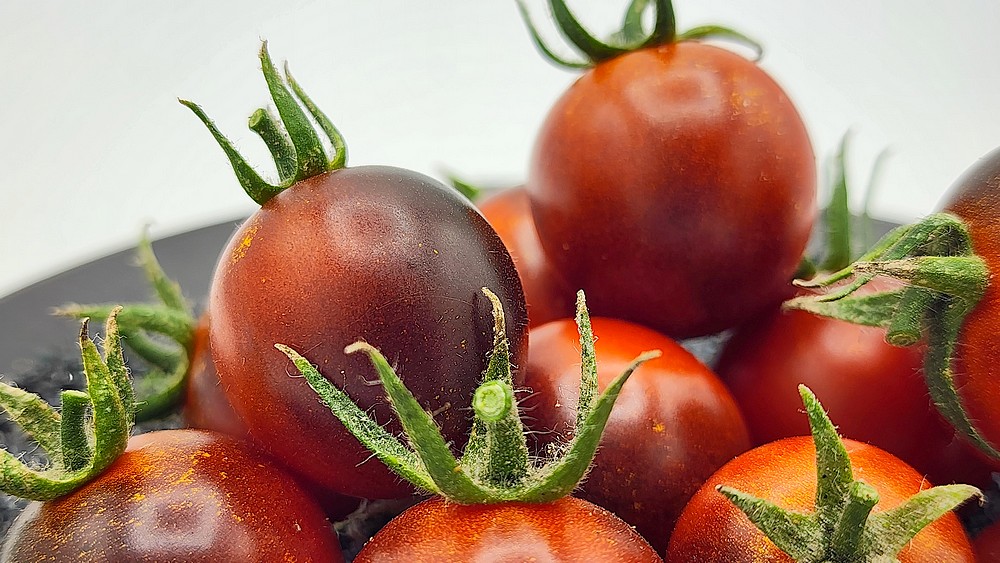 DANCING WHITE SMURFgraines