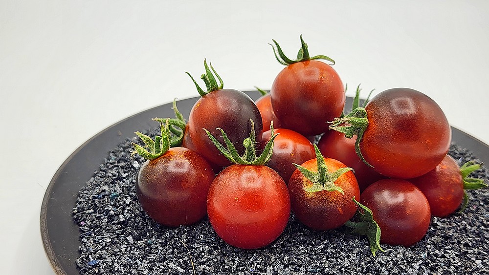 DANCING WHITE SMURFgraines – Image 2