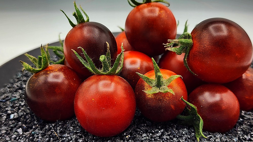 DANCING WHITE SMURFgraines – Image 3