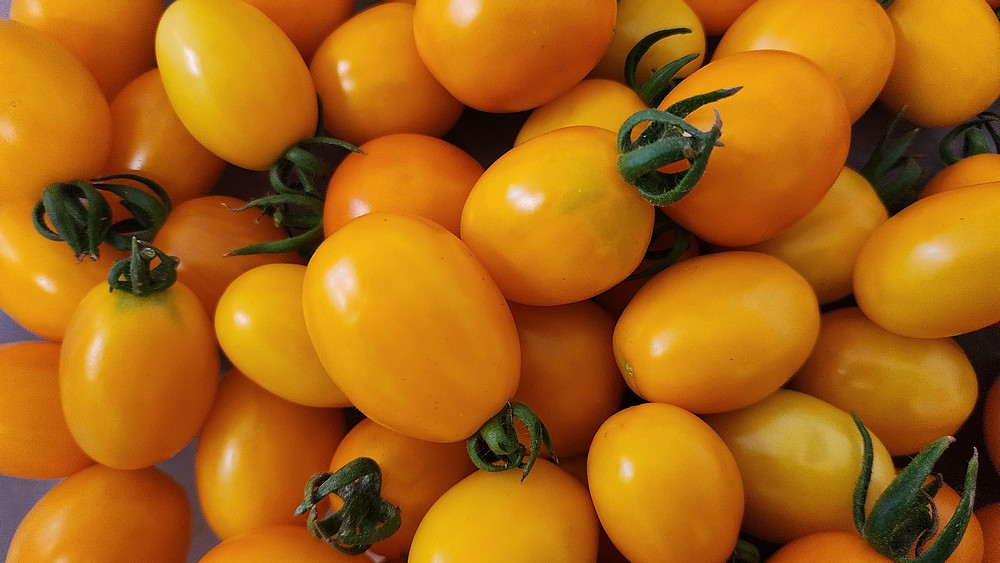 MORNIBG SUN – Image 2